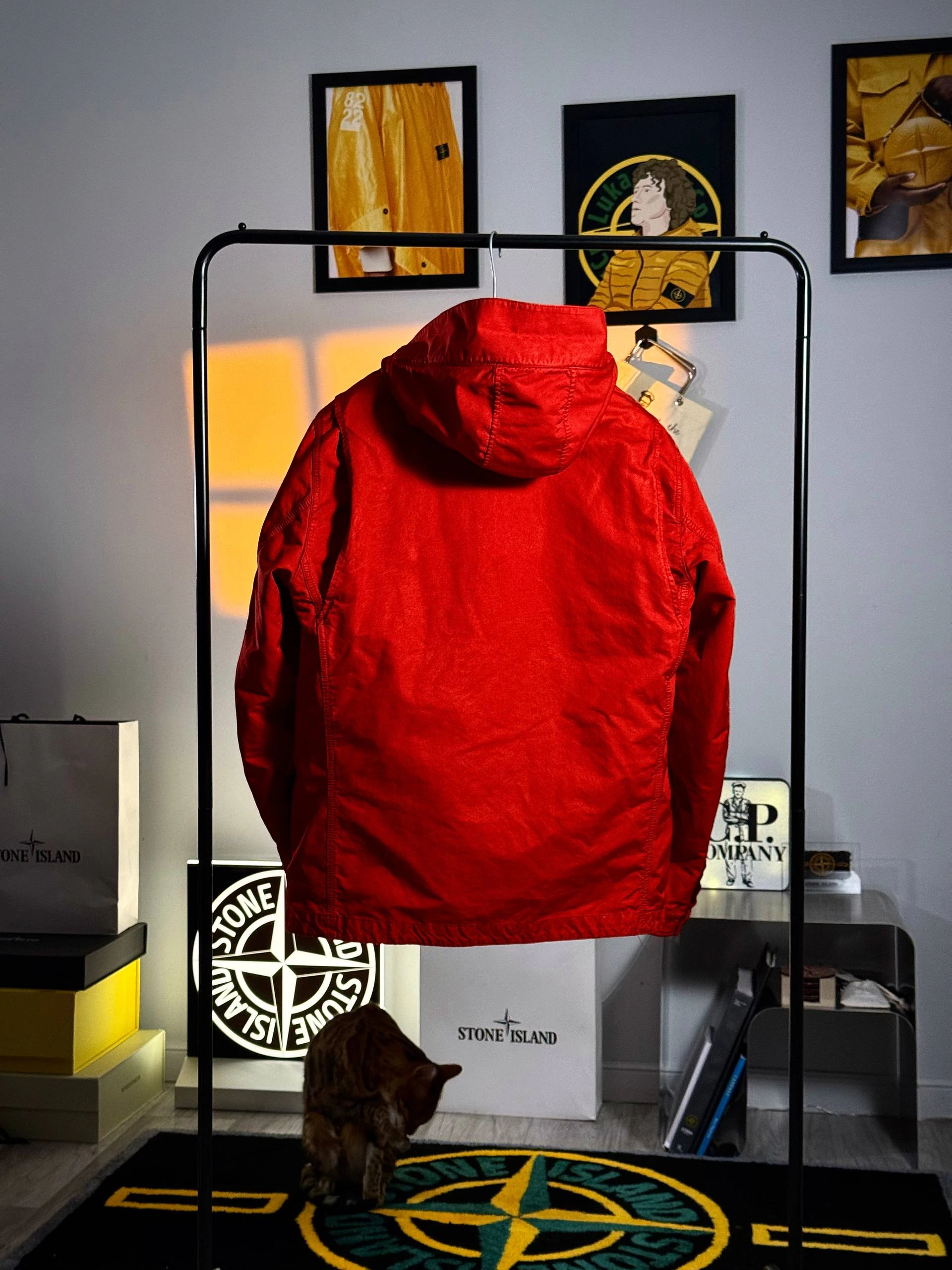 Stone Island David TC Down Jacket, фото 2
